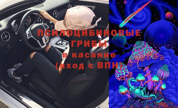 прущие крисы Галич