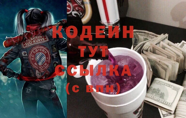 прущие крисы Галич